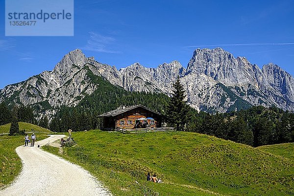 Gramlerkaser Litzlalmen  hinten Mühlsturzhorn  Mühlsturzhörner der Reiter Alm  Pinzgau  Salzburger Land  Österreich  Europa