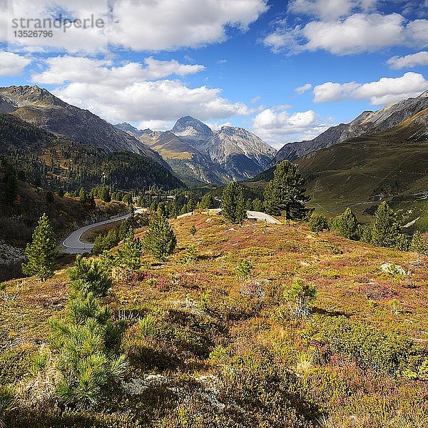 Berglandschaft am Albulapass im Herbst  Albulatal  Val d'Alvra  Kanton Graubünden  Schweiz  Europa
