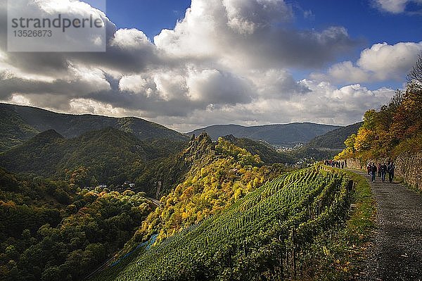 Wanderer auf dem Rotweinwanderweg von Altenahr nach Mayschoß  Rheinland Pfalz  Deutschland  Europa