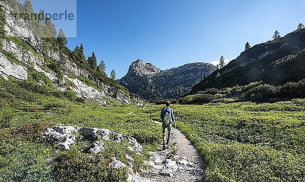 Wanderer auf dem Weg zum Kärlingerhaus  hinter dem Gipfel des Viehkogels  Nationalpark Berchtesgaden  Berchtesgadener Land  Oberbayern  Bayern  Deutschland  Europa