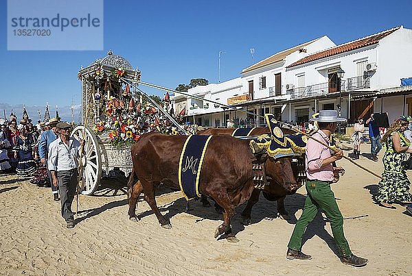 Menschen in traditioneller Kleidung und geschmückten Ochsenkarren  Pfingstwallfahrt von El Rocio  Provinz Huelva  Andalusien  Spanien  Europa