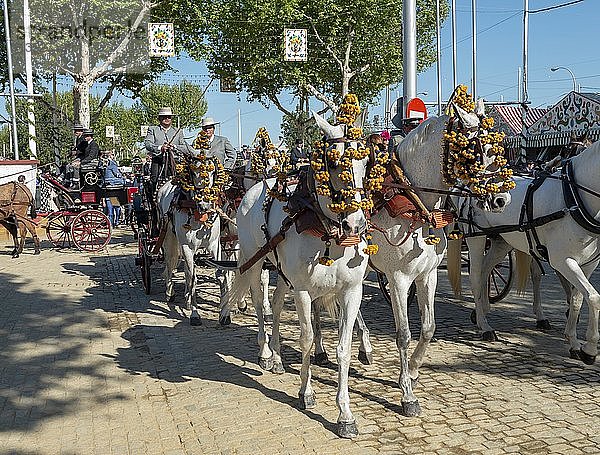 Verzierte Pferdekutsche  Feria de Abril  Sevilla  Andalusien  Spanien  Europa