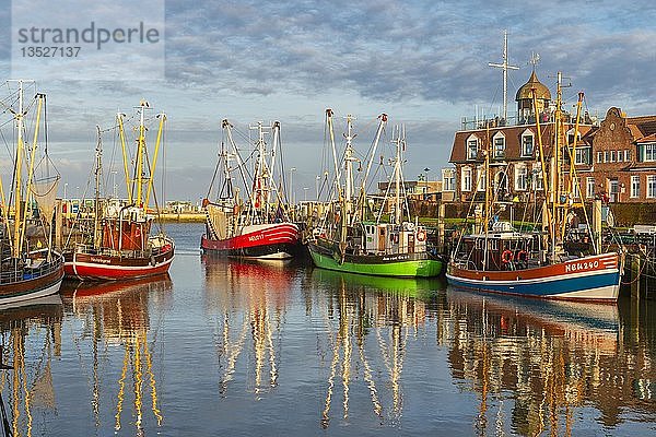 Fischkutter im Hafen bei Abendsonne  Neuharlingersiel  Niedersachsen  Deutschland  Europa