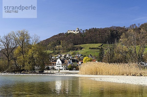 Blick von der Insel Werd über den Rhein bei Niedrigwasser  im Hintergrund die Altstadt von Stein am Rhein und die Burg Hohenklingen  Kanton Schaffhausen  Schweiz  Europa