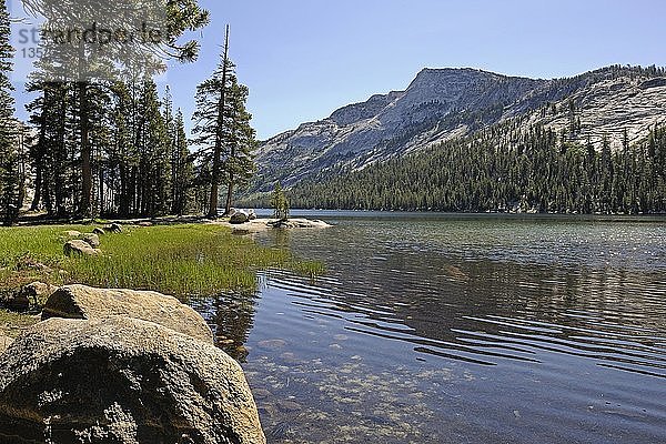 Früher Morgen am Tenaya Lake im Yosemite National Park  Kalifornien  USA  Nordamerika