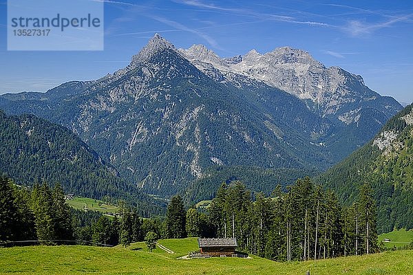 Großes Ochsenhorn über den Almen  St. Martin bei Lofer  Pinzgau  Salzburger Land  Österreich  Europa