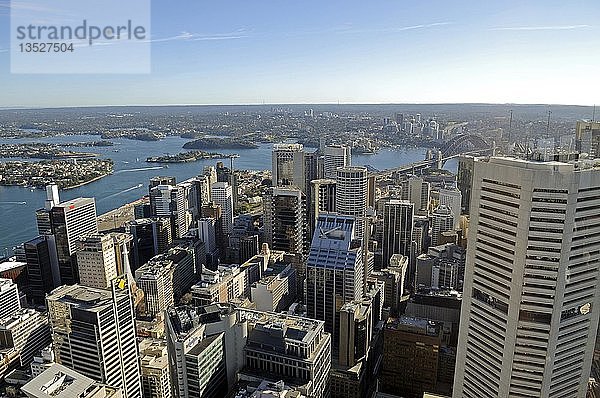 Blick über Sydney vom Sydney Tower  Sydney  Australien  Ozeanien