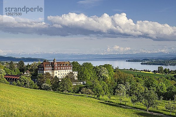 Blick über ein Feld zum Schloss Spetzgart bei Überlingen  im Hintergrund der Bodensee und die Schweizer Alpen  Bodenseekreis  Baden-Württemberg  Deutschland  Europa