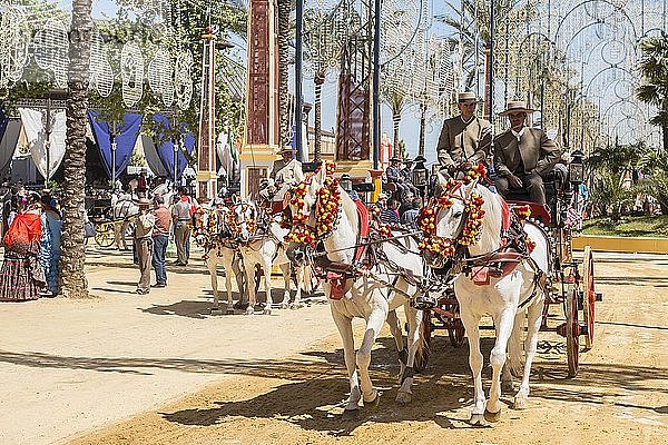 Spanier in traditioneller Festtagstracht auf geschmücktem Pferdewagen  Feria de Caballo  Jerez de la Frontera  Provinz Cádiz  Andalusien  Spanien  Europa