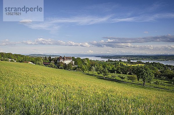 Blick über ein Feld zum Schloss Spetzgart bei Überlingen  im Hintergrund der Bodensee und die Schweizer Alpen  Bodenseekreis  Baden-Württemberg  Deutschland  Europa