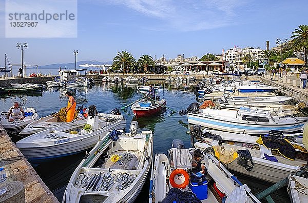 Morgen Fischereihafen  Saranda  Sarandë  Qark Vlora  Ionisches Meer  Albanien  Europa