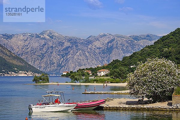 Badestellen in Donji Morinj  Bucht von Kotor  Montenegro  Europa
