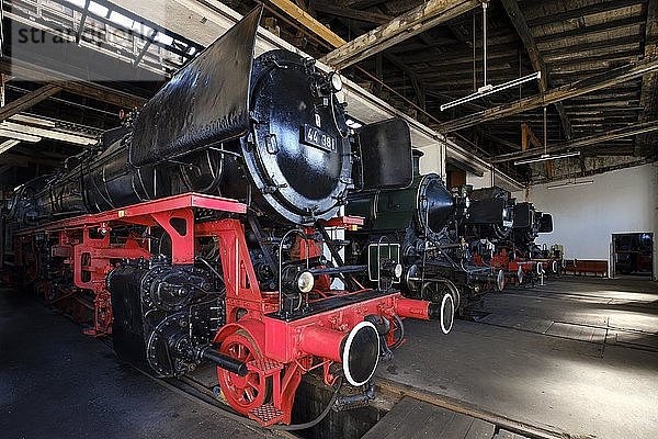 Dampflokomotiven im Lokschuppen  Bayerisches Eisenbahnmuseum  Nördlingen  Landkreis Donau-Ries  Schwaben  Bayern  Deutschland  Europa