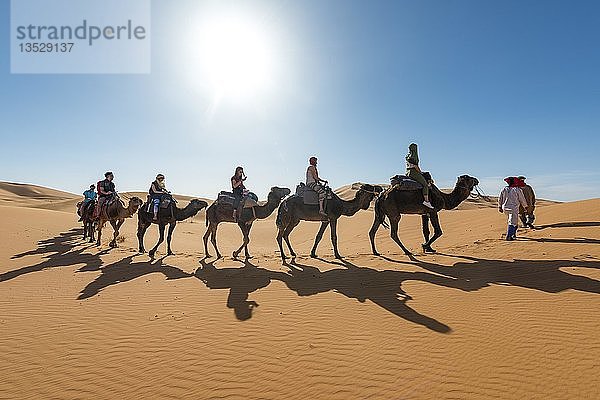 Karawane mit Dromedar (Camelus dromedarius)  Schatten auf Sanddünen in der Wüste  Erg Chebbi  Merzouga  Sahara  Marokko  Afrika