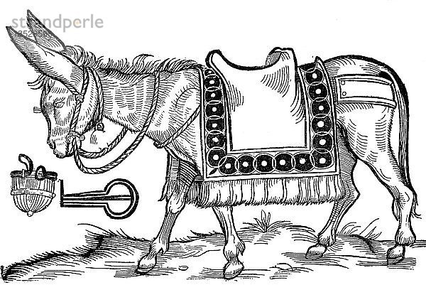 Spottbild eines Esels zur Abschreckung stummer Kinder  Flugblatt  1650  Holzschnitt  England