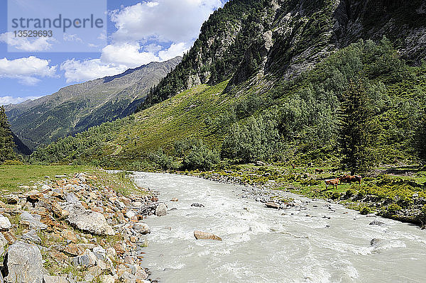 Fluss Ruetz im Stubaital  Tirol  Österreich  Europa