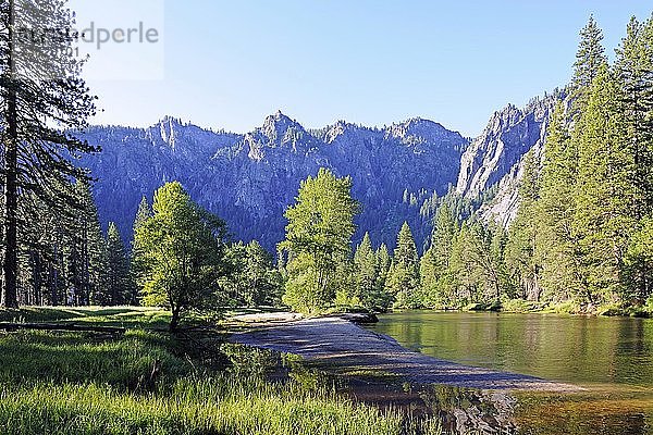 Typische Landschaft am Morgen  mit Merced River im Yosemite National Park  Kalifornien  USA  Nordamerika