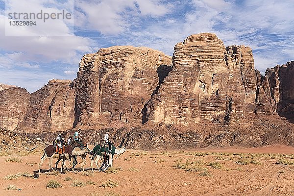 Kamele mit Touristen in der Wüste Wadi Rum  Jordanien  Asien