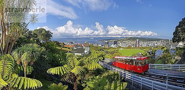 Panoramablick auf Wellington mit der historischen Seilbahn  Nordinsel  Neuseeland  Ozeanien