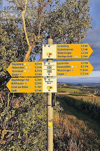 Wegweiser für Wanderer entlang einer Wanderroute  Schwarzwald-Bodensee  Landkreis Konstanz  Baden Württemberg  Deutschland  Europa