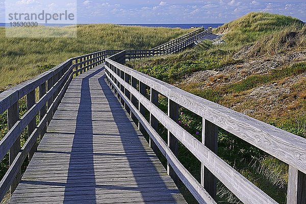 Strandpromenade durch die Dünen zum Strand von Kampen  Sylt  Nordfriesische Inseln  Nordfriesland  Schleswig-Holstein  Deutschland  Europa