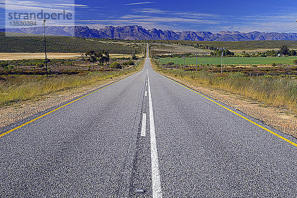 schnurgerade Straße  R364 durch die Landschaft der Cederberg Wilderness Area  Cederberg Wilderness Area  nahe Clanwilliam  Westkap  Südafrika  Afrika
