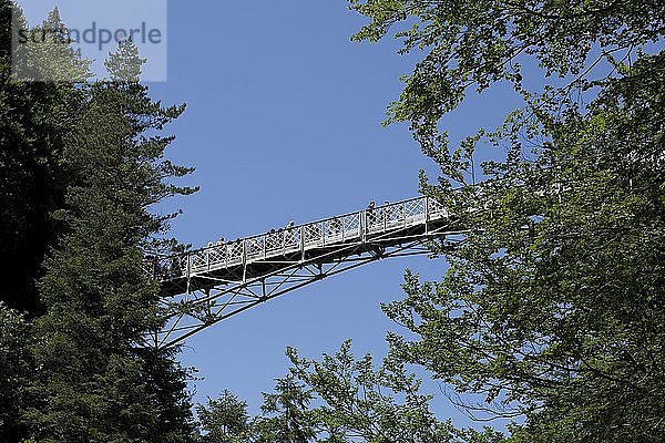 Marienbrücke über die Pöllatschlucht  Hohenschwangau  Allgäu  Bayern  Deutschland  Europa