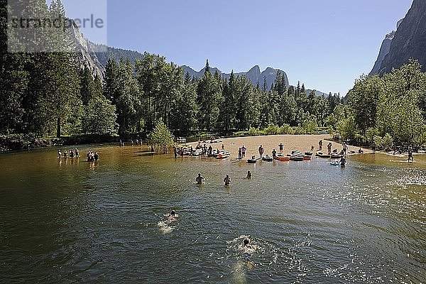 Touristen beim Schwimmen im Merced River im Yosemite National Park  Kalifornien  USA  Nordamerika