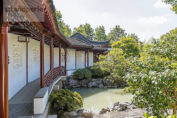 Dr. Sun Yat-Sen Klassischer Chinesischer Garten  Chinesische Pagode  Vancouver  British Columbia  Kanada  Nordamerika