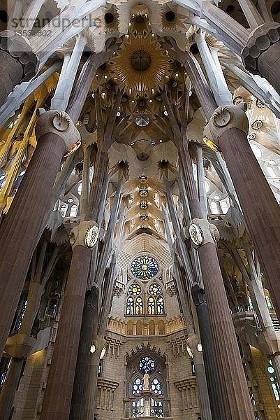 Gewölbedecke  Innenraum der Kirche Sagrada Familia  Architekt Antoni Gaudí  Barcelona  Katalonien  Spanien  Europa