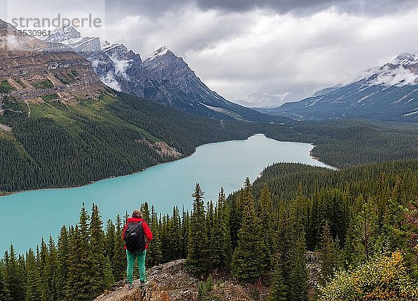 Wanderer schaut in die Natur  türkisfarbener See  Peyto Lake  Rocky Mountains  Banff National Park  Provinz Alberta  Kanada  Nordamerika