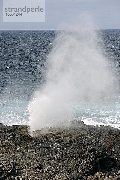 Blowhole an den Küstenklippen der Insel Espanola  Galapagos-Inseln  UNESCO-Weltnaturerbe  Ecuador  Südamerika