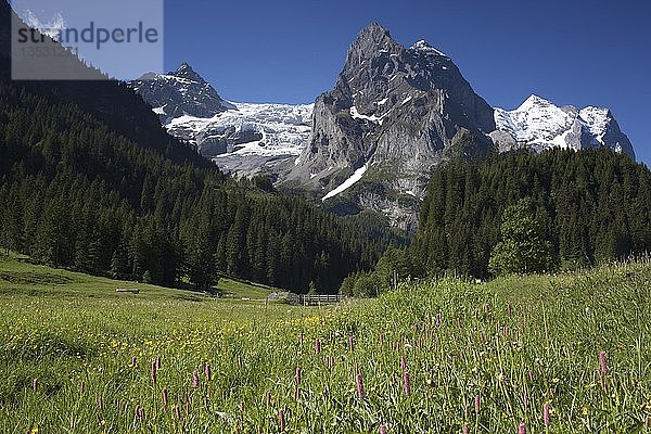 Rosenlaui-Gletscher während eines Bergfrühlings im Berner Oberland  Schweiz  Europa