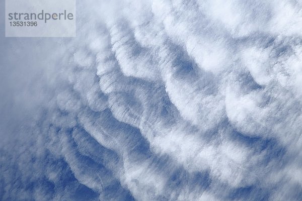 Gekräuselte Cirrocumulus-Wolken  Hintergrundbild  Kanada  Nordamerika