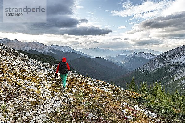 Wanderin auf einem Wanderweg  Sulphur Skyline Trail  Ashlar Range  Jasper National Park  British Columbia  Kanada  Nordamerika