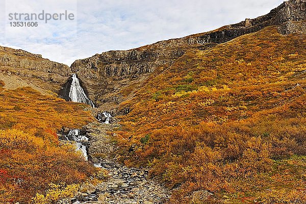 Wasserfall in Herbstlandschaft  Westfjorde  Island  Europa