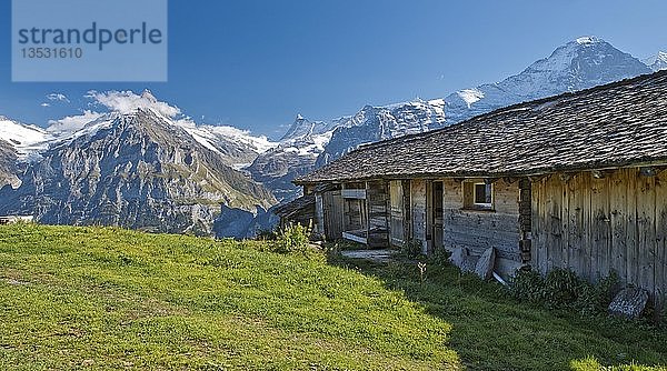 Bussalp mit der Eigernordwand im Rücken  Grindelwald  Jungfrau Region  Berner Oberland  Schweiz  Europa