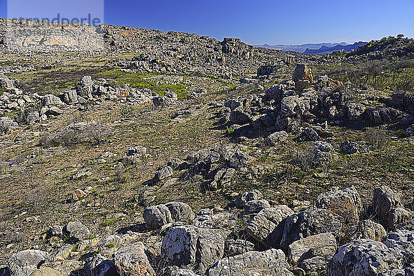 Landschaft des Cederberg-Wildnisgebiets  Cederberg-Wildnisgebiet  bei Clanwilliam  Westkap  Südafrika  Afrika