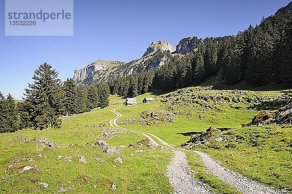 Landwirtschaftsstrasse und Wanderweg auf der Alp Soll  mit dem Hohen Kasten am Horizont und dem Kamor links  Kanton Appenzell Innerrhoden  Schweiz  Europa