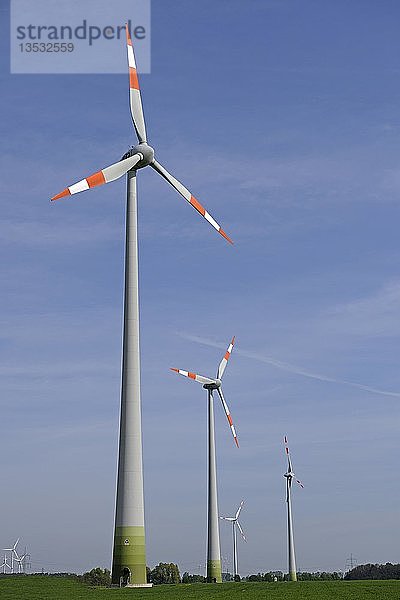 Windräder auf einem Feld in Brandenburg  erneuerbare Energien  Brandenburg  Deutschland  Europa
