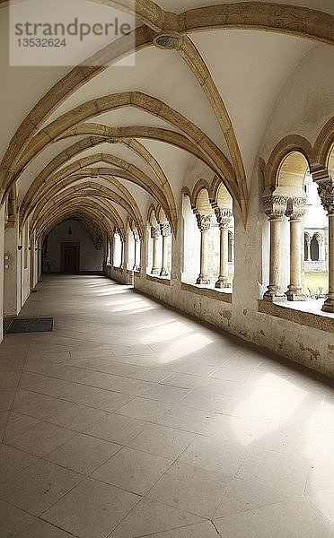 Kreuzgang  Kloster St. Maria und St. Theodore am Kaulberg  Karmeliterkloster  Bamberg  Bayern  Deutschland  Europa