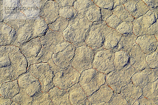 Lehm  Deadvlei  Sossusvlei  Namib-Naukluft Park  Namib-Wüste  Namibia  Afrika