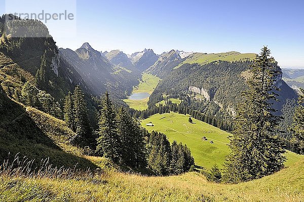 Blick vom geologischen Wanderweg in den Appenzeller Alpen  mit dem Alpsigel rechts und dem Sämtisersee in der Mitte  Kanton Appenzell Innerrhoden  Schweiz  Europa