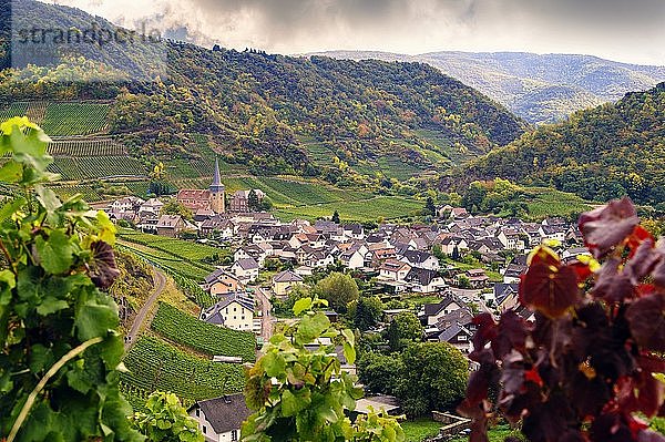 Dorf Mayschoß unterhalb des Rotweinwanderweges im Ahrtal  Rheinland-Pfalz  Deutschland  Europa