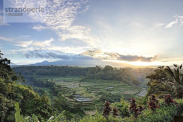 Blick auf Reisterrassen und den Vulkan Gunung Agung bei Sonnenaufgang  Rendang  Bali  Indonesien  Asien