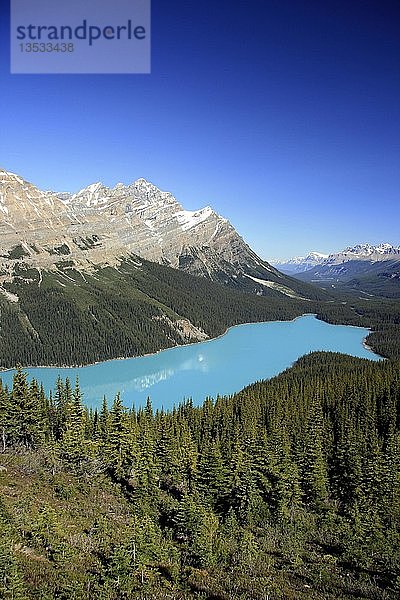 Peyto Lake  Banff National Park  Kanada  Nordamerika