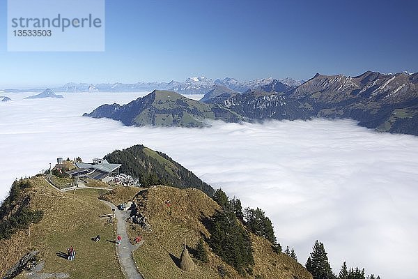 Nebelmeer am Stanserhorn im Herbst  Schweiz  Europa