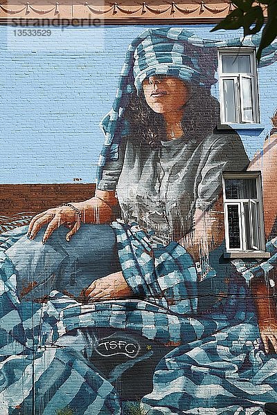 Graffiti einer Frau  an Hauswand  Montreal  Provinz Quebec  Kanada  Nordamerika