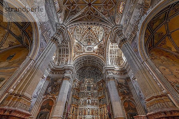 Innenraum  kunstvolle Gewölbedecke  Renaissancekirche und Kloster  Monasterio de San Jerónimo  Granada  Andalusien  Spanien  Europa