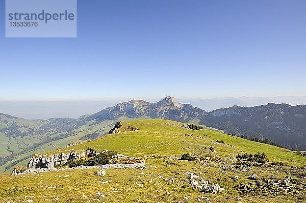 Weide am Steilhang auf dem Hochplateau Alp Sigel  1730 m  in den Appenzeller Alpen mit Blick zum Hohen Kasten  1795 m  Kanton Appenzell Innerrhoden  Schweiz  Europa